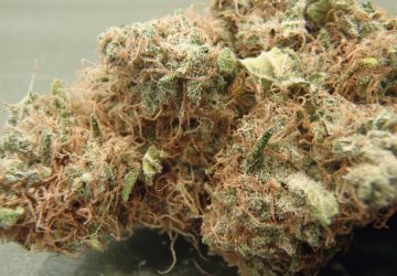AK-47