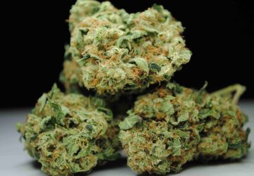 Chemdawg