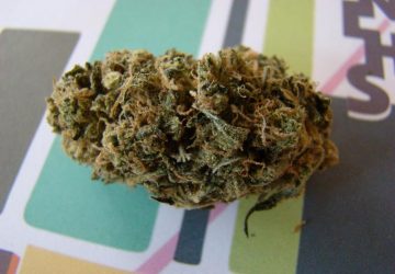 Headband
