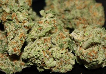 Pineapple Express