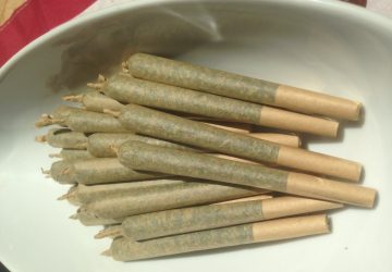Lemon Haze