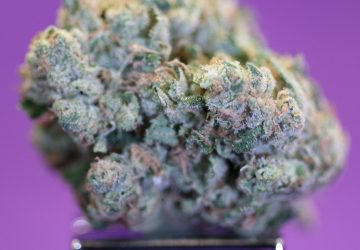 Sour Lemon OG