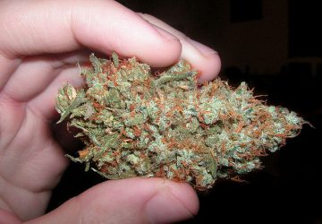 Trainwreck
