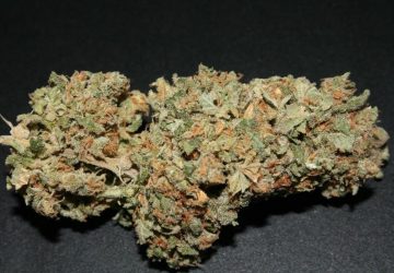White Widow